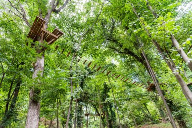 Ağaçlarda engeller olan macera parkı manzarası. Orman, aile memnuniyetine engel oluyor. Doğadaki Adrenalin Parkı