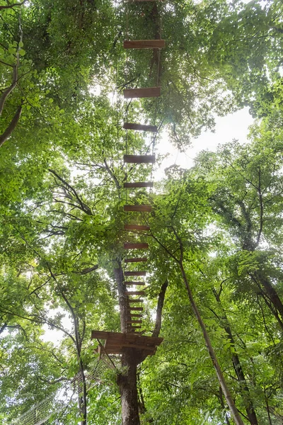 Blick Auf Den Erlebnispark Mit Hindernissen Auf Den Bäumen Wald — Stockfoto