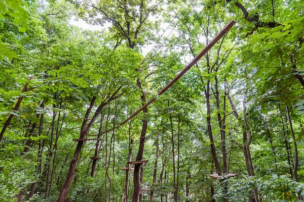 木々の上に障害物があるアドベンチャーパークの景色 家族の満足度に森林の障壁 アドレナリン自然公園 — ストック写真