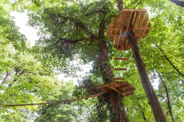 Adrenaline park in nature in Vrdnik, Serbia. View of the adventure park with obstacles on the trees.