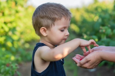 Bebek sağlıklı ahududu yiyor..