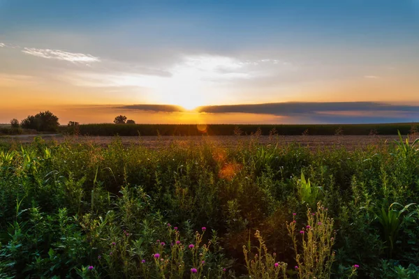 Nascer Sol Sobre Campo Agrícola — Fotografia de Stock