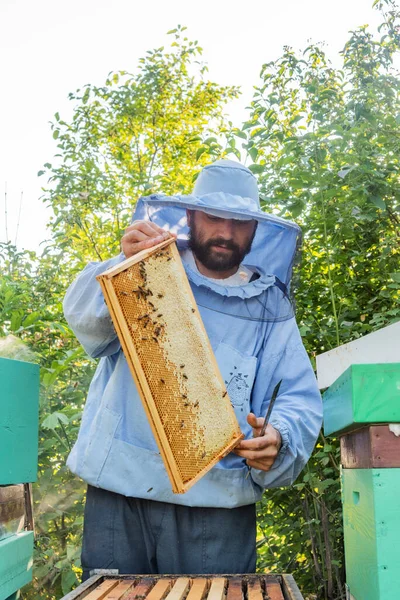 Apicultor Trabajo Apicultor Salva Las Abejas —  Fotos de Stock