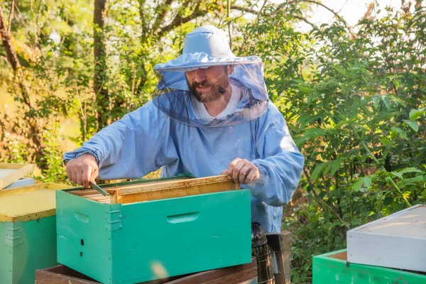 Apicultor Trabajo Apicultor Salva Las Abejas —  Fotos de Stock