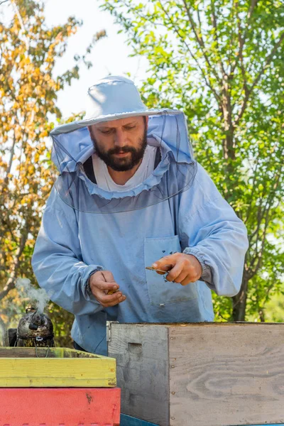 养蜂人在工作 养蜂人救蜜蜂 — 图库照片
