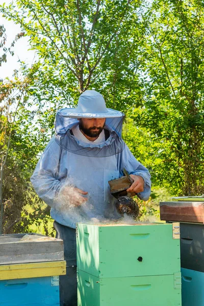 Apicultor Trabajo Apicultor Salva Las Abejas —  Fotos de Stock