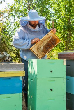 İş yerindeki arı yetiştiricisi. Arıcı arıları kurtarır..