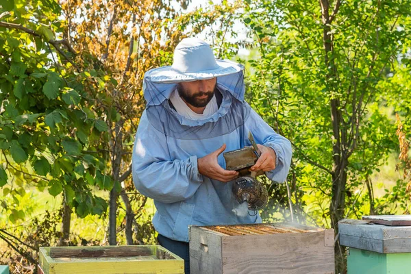 Apicultor Trabajo Apicultor Salva Las Abejas —  Fotos de Stock