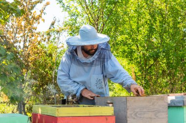 İş yerindeki arı yetiştiricisi. Arıcı arıları kurtarır..