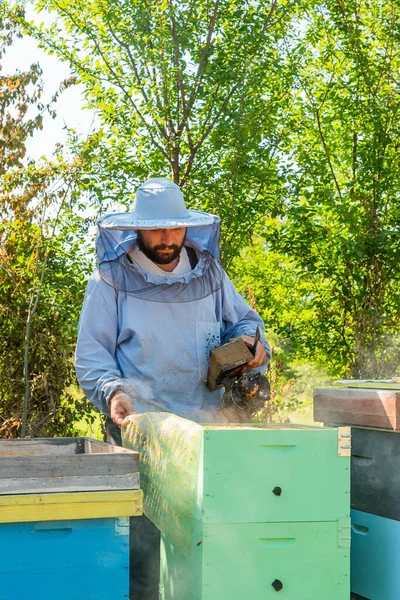 Apicultor Trabajo Apicultor Salva Las Abejas —  Fotos de Stock