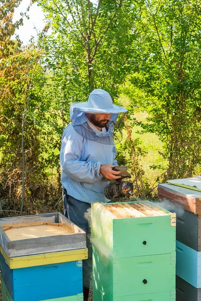 Apicultor Trabajo Apicultor Salva Las Abejas —  Fotos de Stock