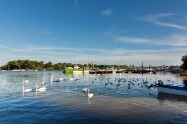 Belgrad, Sırbistan - 26 Ağustos 2020: Pek çok küçük balıkçı teknesi Tuna Nehri 'ne demir attı. Belgrad 'ın Zemun bölgesinden görüntü. Tuna Nehri, küçük balıkçı tekneleri, güzel mavi gökyüzü, kuğular ve Zemun marinası..