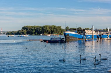 Belgrad, Sırbistan - 26 Ağustos 2020: Tuna Nehri üzerindeki Büyük Savaş Adası 'nda Lido Sahili, Sırbistan' ın Belgrad kentinde popüler bir nehir plajı. Zemun Rıhtımı (Sırpça: Zemunski kej)