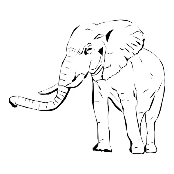 Великий Африканський Слон Биками — стоковий вектор