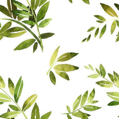 Yeşillikli yeşil dal. Zeytin dalı, bambu dalı, defne dalı. Çiçek tarzında düğün veya davetiyeler için desenler, defne ve kompozisyonlar için tasarım öğeleri. Bu suluboya.