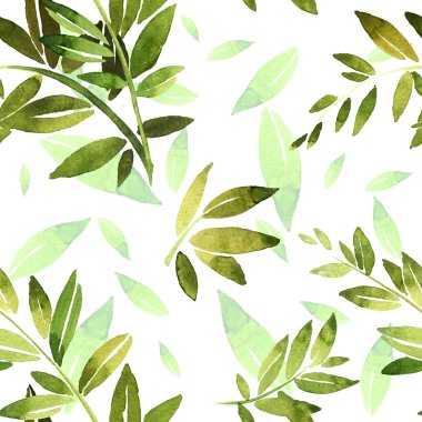 Yeşillikli yeşil dal. Zeytin dalı, bambu dalı, defne dalı. Çiçek tarzında düğün veya davetiyeler için desenler, defne ve kompozisyonlar için tasarım öğeleri. Bu suluboya.