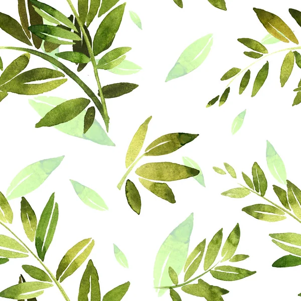 Yeşillikli yeşil dal. Zeytin dalı, bambu dalı, defne dalı. Çiçek tarzında düğün veya davetiyeler için desenler, defne ve kompozisyonlar için tasarım öğeleri. Bu suluboya.