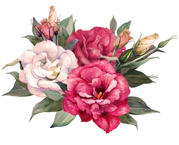 Bouquet di eustomi, acquerello, può essere utilizzato come biglietto di auguri, biglietto d'invito per matrimonio, compleanno e altre festività e sfondo estivo . — Foto Stock