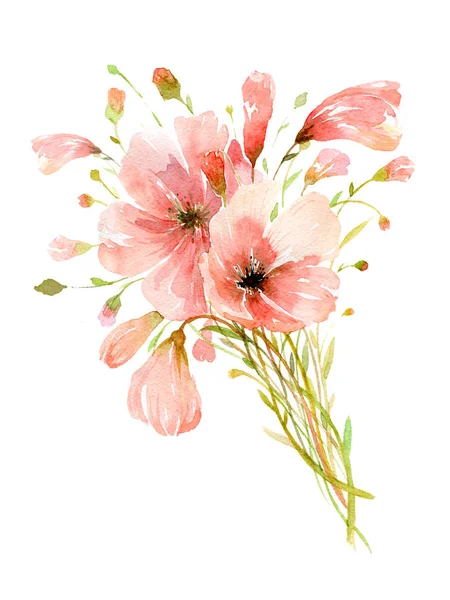 The delicate watercolor bouquet, kosmeya or poppy — Stock Photo, Image