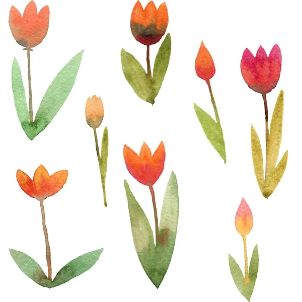 Motivo floreale senza cuciture con tulipani acquerello. Primavera sfondo con fiori per tessuto, carta da parati, manifesti, banner . — Foto Stock