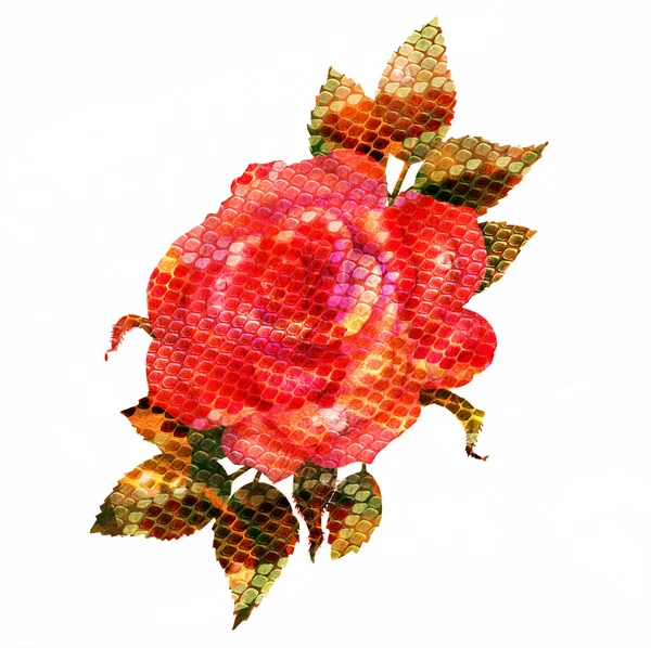 Aquarelle rose fleur avec des écailles de serpent, rose et serpent . — Photo