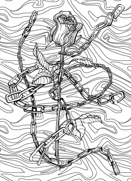 Graphic drawing coloring book for adults antistress coloring book. Rose and chains on an abstract background, gothic style.
