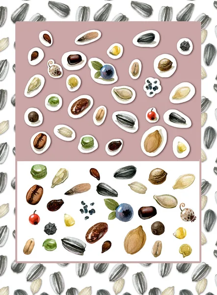 Akvarell bild som skildrar frön av olika växter, frukter och grönsaker. Höstskörden. Partiklar isoleras på en vit bakgrund eller är dekorerade som klistermärken. — Stockfoto