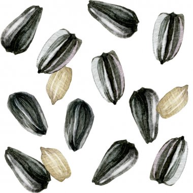 Gıda için ayçiçeği tohumu tohum ve meyve görüntü ile suluboya resmi. Desen.