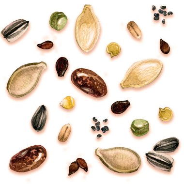 Yenilebilir bitkilerin tohumlarının dikişsiz deseni, sonbahar hasadı. Suluboya, el yapımı.