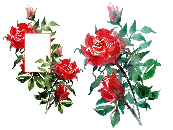 Bouquet aquarelle de roses rouges, avec cas d'utilisation avec inscription. Illustration aquarelle, faite main . — Photo