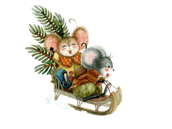 Cute mouse sleigh ride with a festive spruce branch. Watercolor christmas illustration