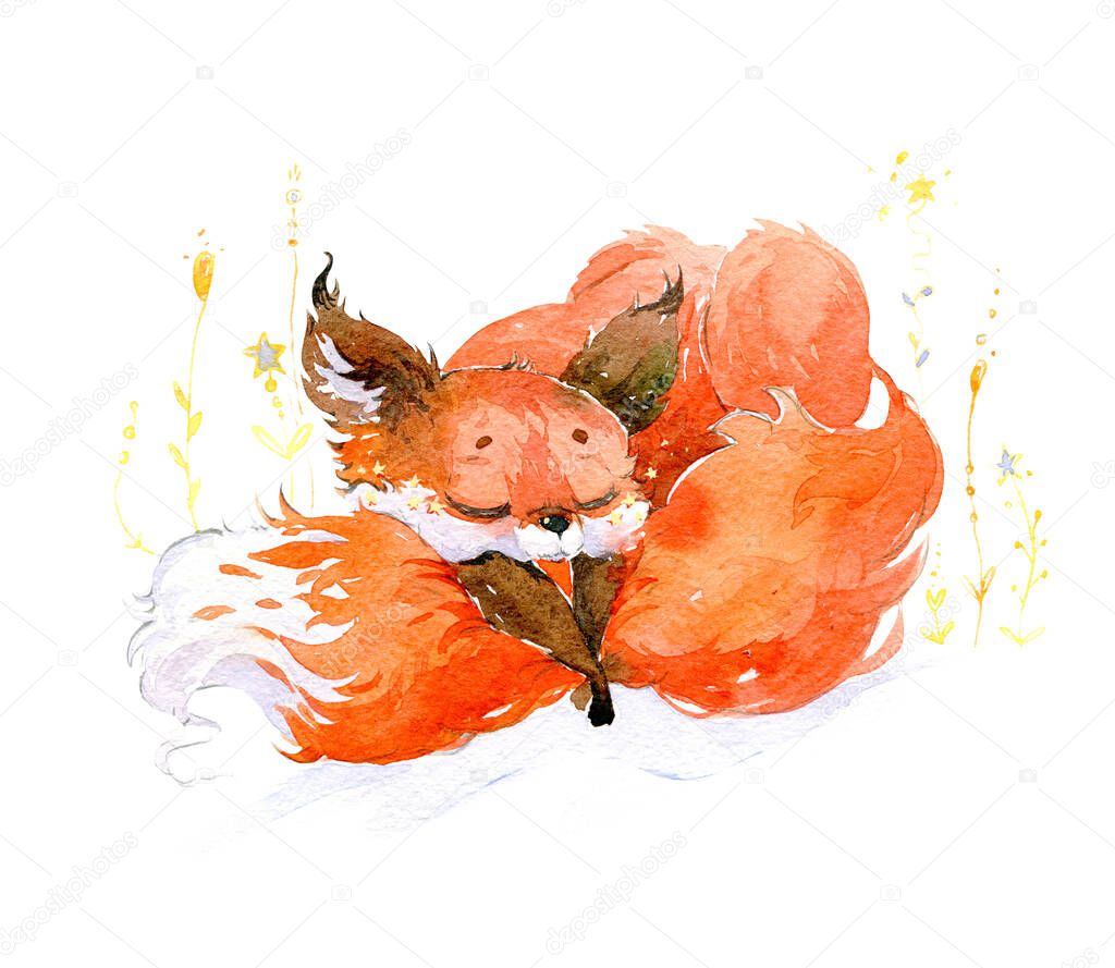 Sleeping star fox. Red fox and yellow star flowers. Watercolor illustration, handmade.