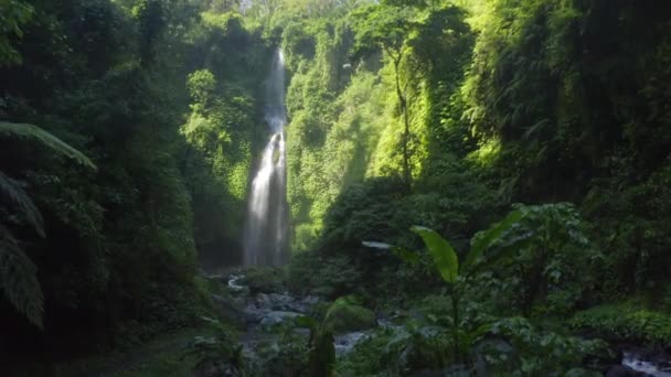 バリ島の山々の小川に流れ込むギット滝 — ストック動画