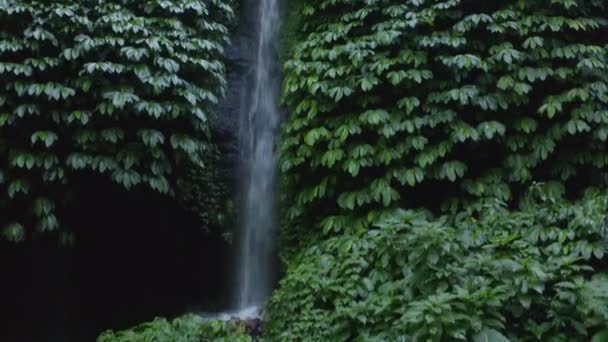 Cascate Montagna Tra Chiome Dell Isola Bali — Video Stock