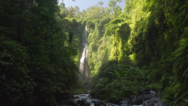 Гит Водопад Впадающий Реку Горах Бали — стоковое видео