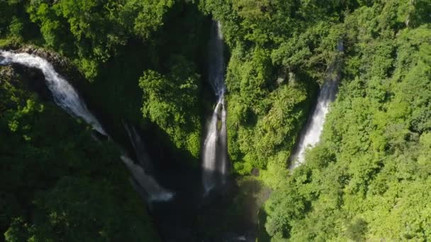 Bali Szigetén Lévő Lombozat Között Hegyi Vízesések — Stock videók