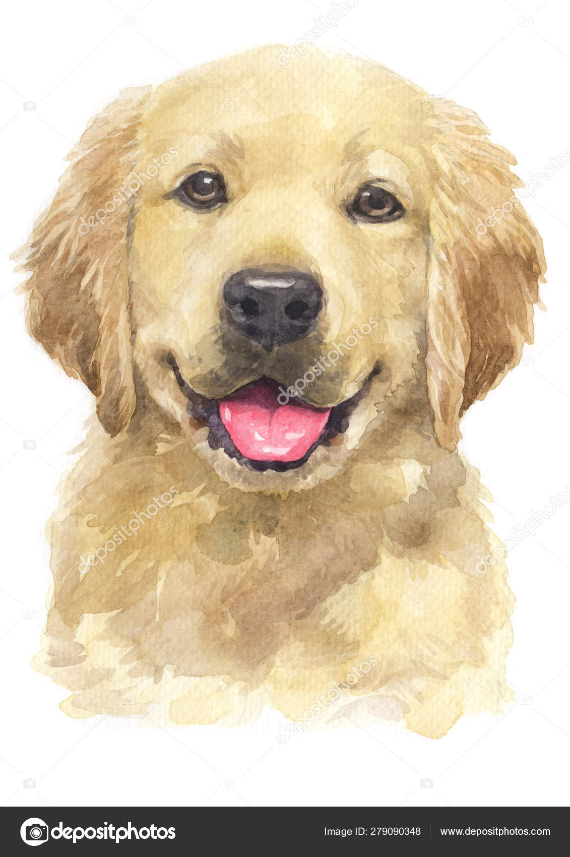 golden retriever puppy painting