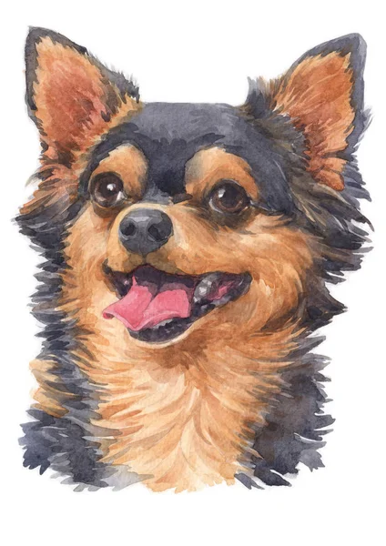 Akvarellmålning Chihuahua 063 — Stockfoto