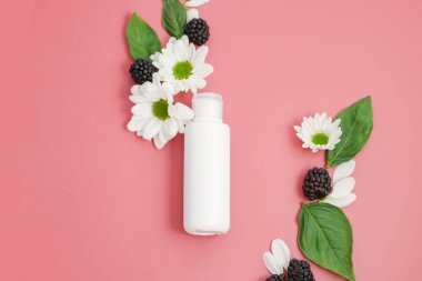 Çiçekli böğürtlenli organik losyon ve parlak pembe arka planda fesleğen yaprakları. Vejetaryen kozmetik ürünleri, taze malzemeler, yaz taze böğürtlenleri, stil, dekor, düz yatak..