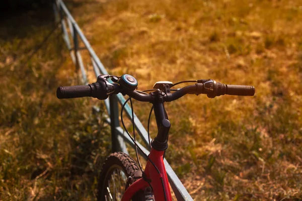 Kierownica Roweru Przy Zachodzie Słońca Trawniku Pobliżu Ogrodzenia — Zdjęcie stockowe