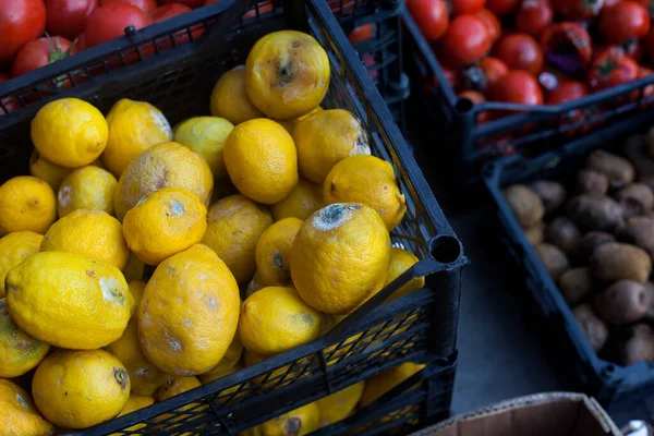 Verrotte Groenten Fruit Citroenen Tomaten — Stockfoto