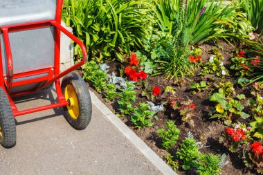 Kırmızı saplı metal el arabası ve çiçek tarhının yanında duran sarı tekerlekler..