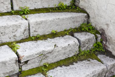 Adımlar arasında yosun ve yeşillik olan antik beyaz taş merdiven.