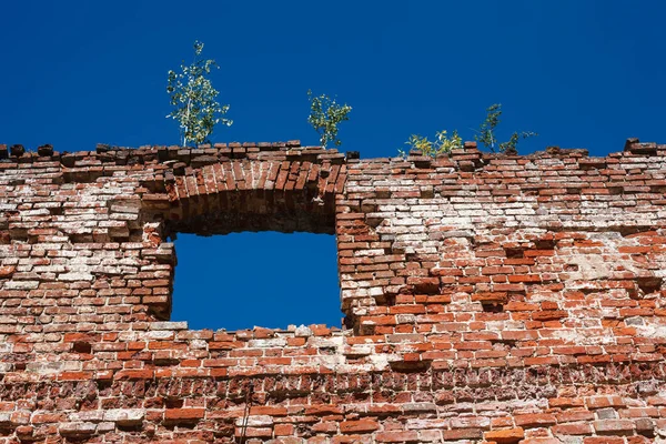 Ruined brick ancient red wall with window hole and trees on top in sunny day