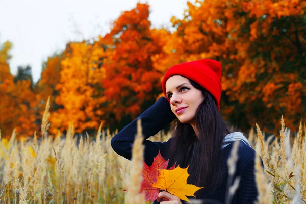Brunnette Caucasian Woman Red Hat Holding Maple Leaves Smiling Outdoor — Stock Photo, Image