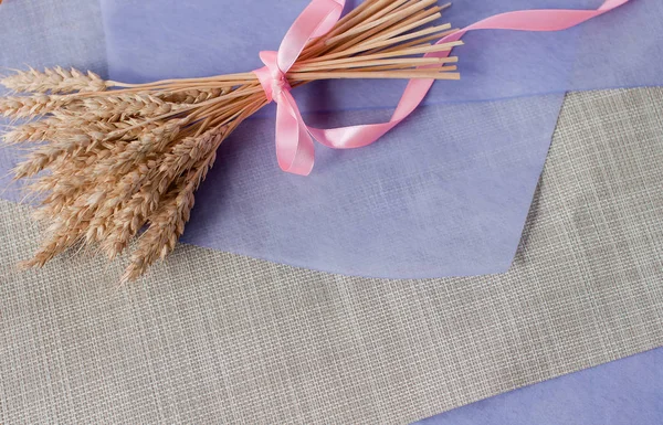 Beautiful delicate bouquet with pink ribbon of dried wheat ears