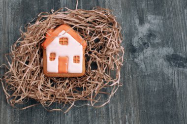 Turuncu çatılı küçük bir rahat zencefilli ev bir gr yatıyor