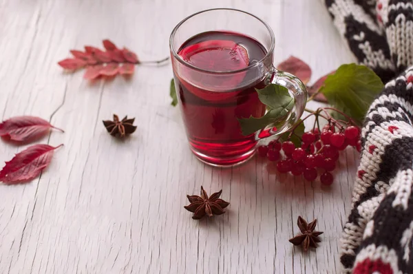 Autumn cozy and warm still life from a mug of red tea with lemon — Stock Photo, Image