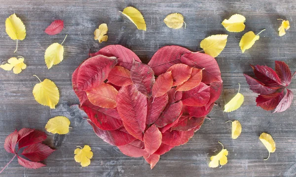 Valentine Heart of Red höstlöv som ligger på en shabby retro — Stockfoto