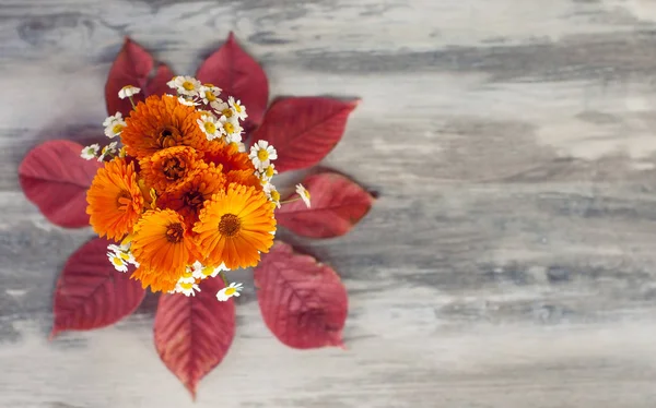 Bright autumn yellow chrysanthemum flowers and white daisies in